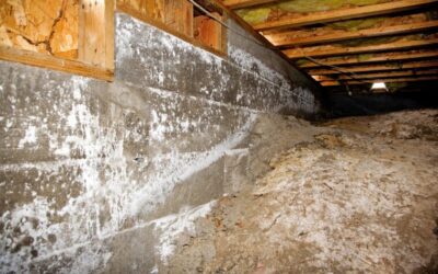 Standing Water Under House – Cause and Effect: 11 Alarming Risks Every Homeowner Must Know