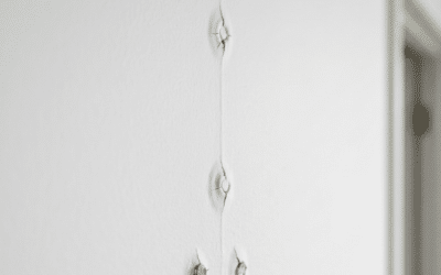Drywall Nail Pops: Cosmetic Flaw or Foundation Warning Sign?