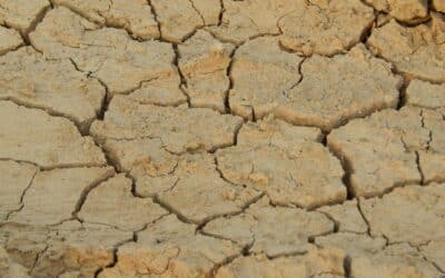 Expansive Clay Soils: What They’re Doing to Your Foundation Right Now