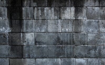 Wet Basement Walls: What’s Causing It and How to Fix It for Good