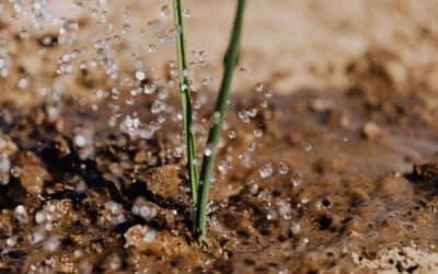 What Causes Hydrostatic Pressure Around a Basement Foundation?