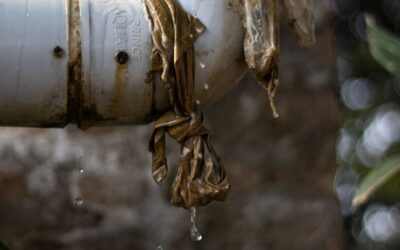 Which basement waterproofing company near me can diagnose where water is entering before recommending a system?
