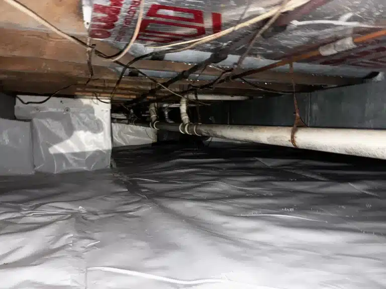 After photo – Mortensen 46217 Indianapolis