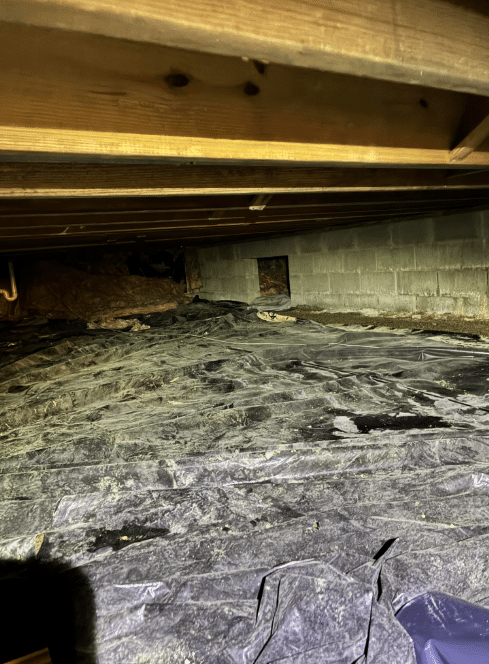 Before photo – Edna Knight Crawlspace Encapsulation New Palestine