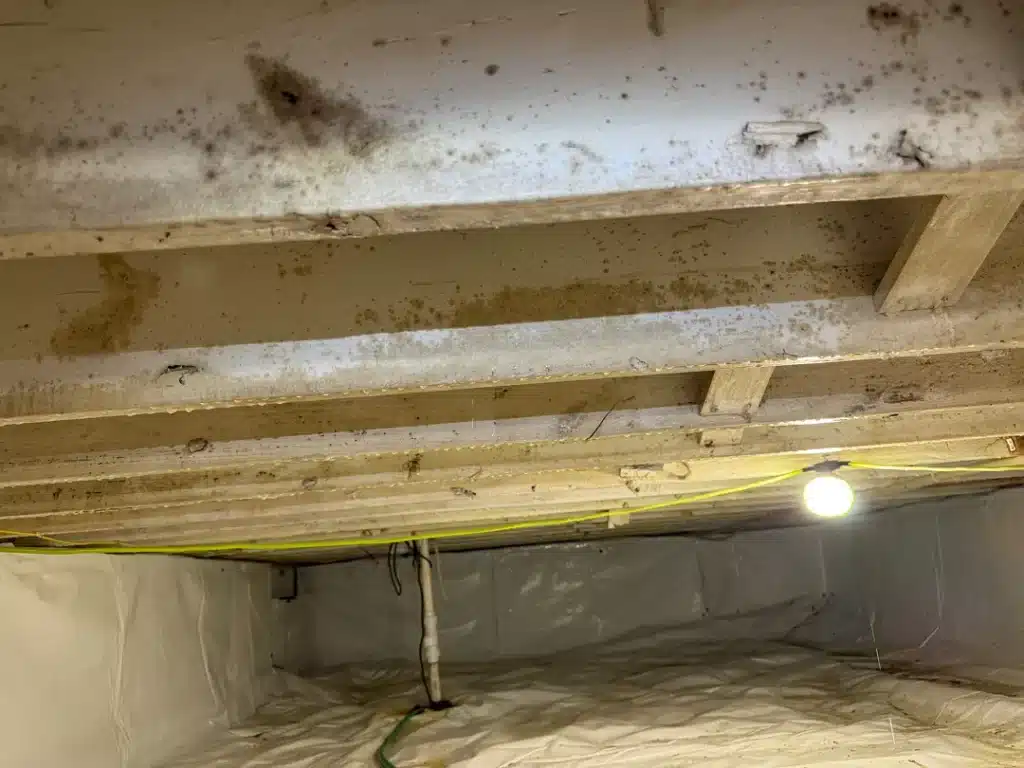 After photo – Piercefield 46151 Martinsville