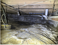 Before photo – Flowers – Crawlspace Repair Anderson