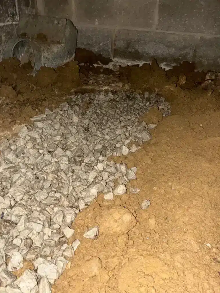 During photo – Flowers – Crawlspace Repair Anderson