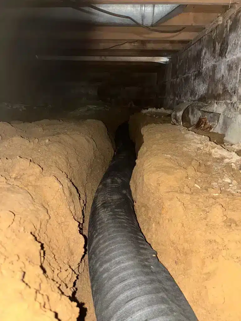 During photo – Flowers – Crawlspace Repair Anderson