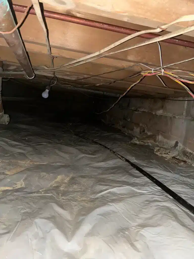 During photo – Flowers – Crawlspace Repair Anderson