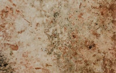 Vapor Barrier vs Crawl Space Encapsulation: Which Provides Better Moisture Control?
