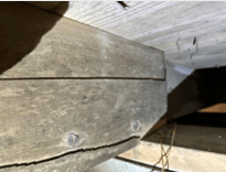 Before photo – Flowers – Floor Joist Repair in Anderson