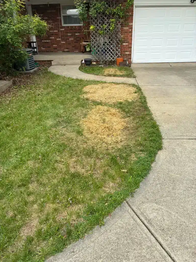 After photo – Kreamer – Foundation Structural Repair in Indianapolis