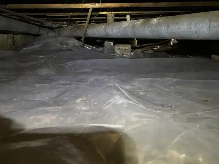 Before photo – Phillips 46241 Indianapolis