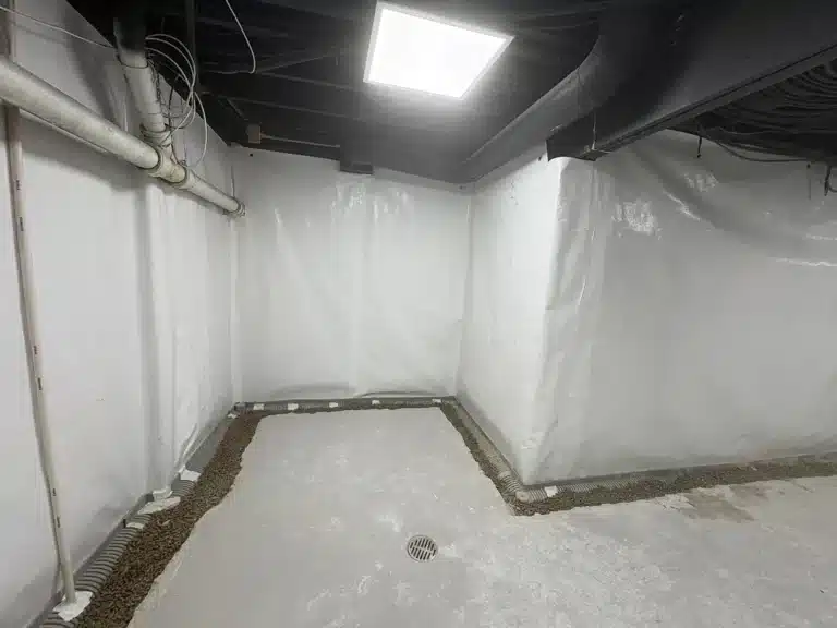 After photo – Mitchell Greenfield 46140