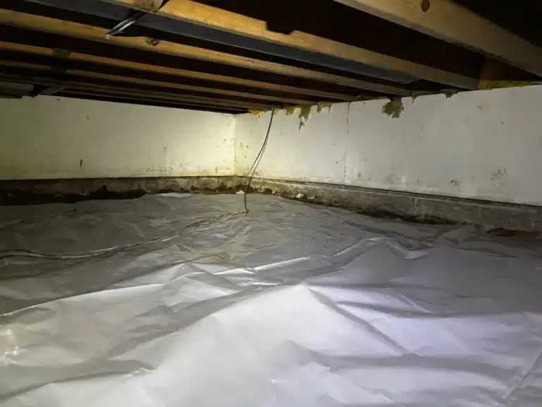 Before photo – Mitchell Greenfield 46140